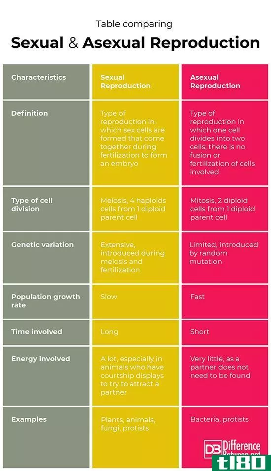 性的(sexual)和无性生殖(asexual reproduction)的区别