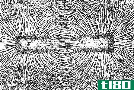 Difference Between Magnetic Field and Magnetic Flux - Iron_filings_showing_the_magnetic_field