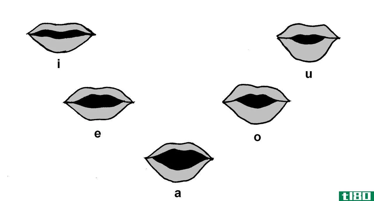 元音(vowels)和辅音(consonants)的区别