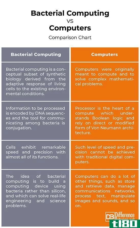 细菌计算(bacterial computing)和计算机(computers)的区别
