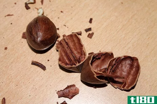 山核桃(pecans)和胡桃(walnuts)的区别