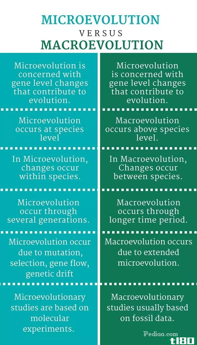 微进化(microevolution)和宏观进化(macroevolution)的区别