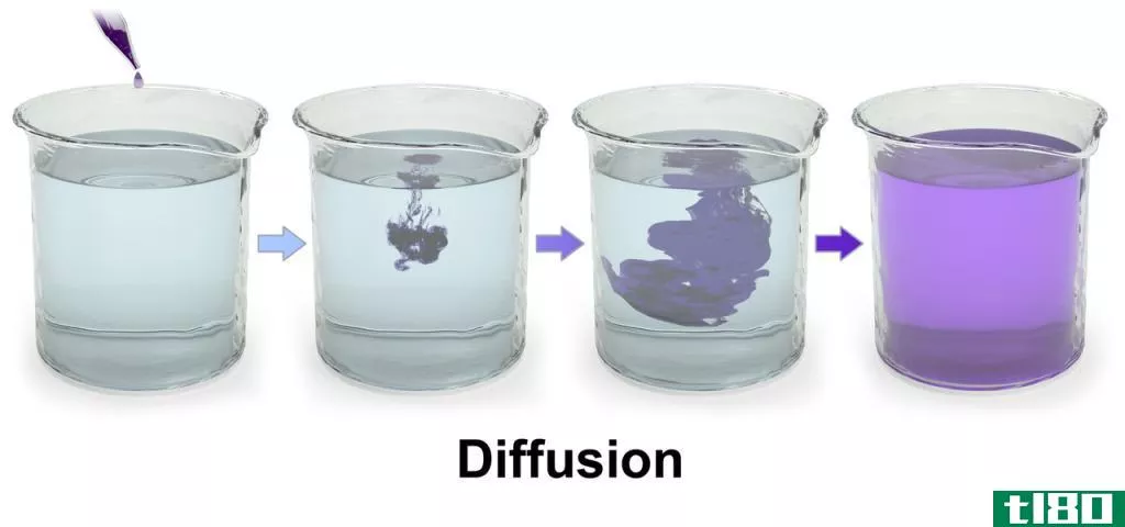 扩散(diffusion)和渗透作用(osmosis)的区别