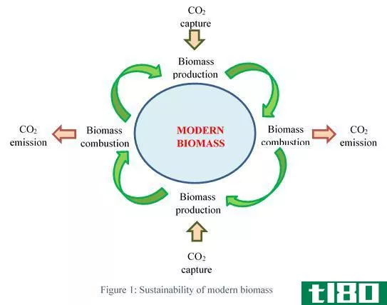 生物燃料(biofuel)和生物量(biomass)的区别