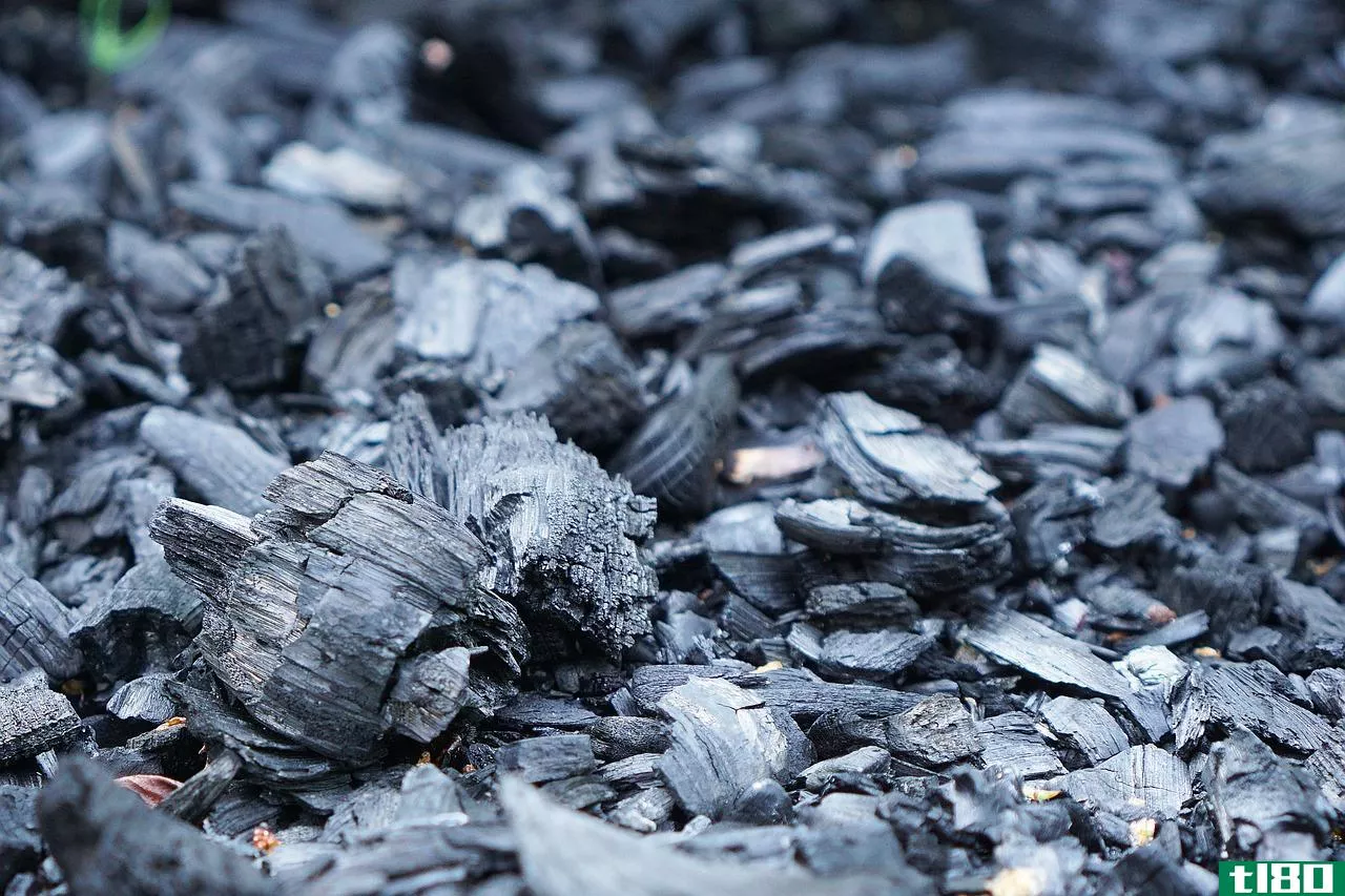 木炭(charcoal)和活性炭(activated charcoal)的区别