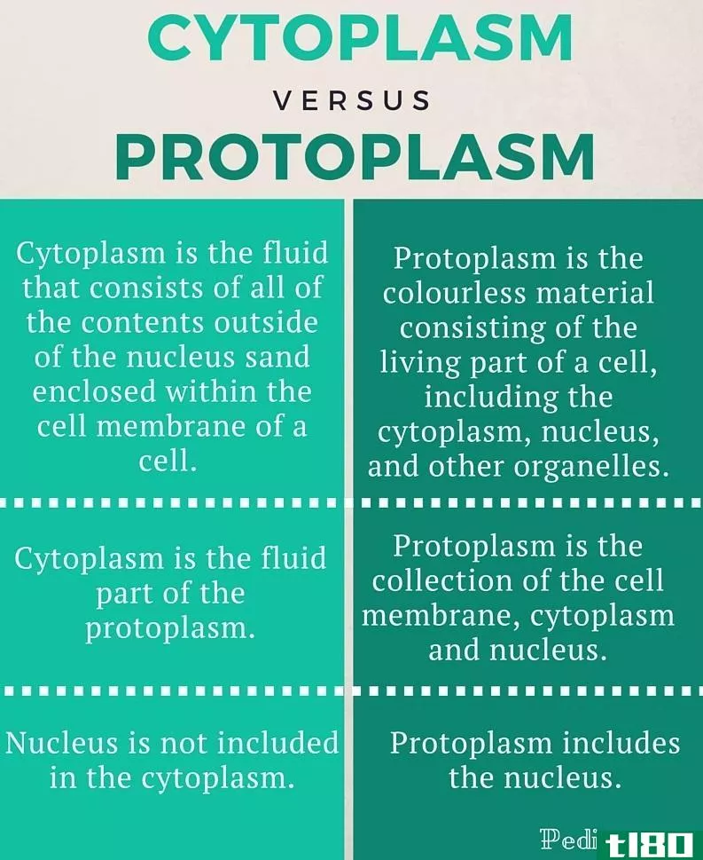 细胞质(cytopla**)和原生质(protopla**)的区别