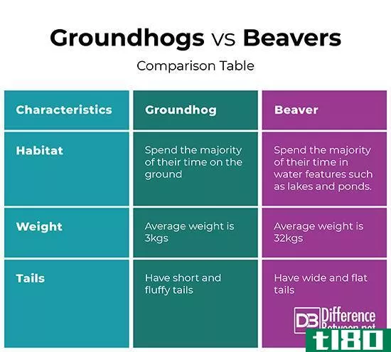 土拨鼠(groundhog)和海狸(beaver)的区别
