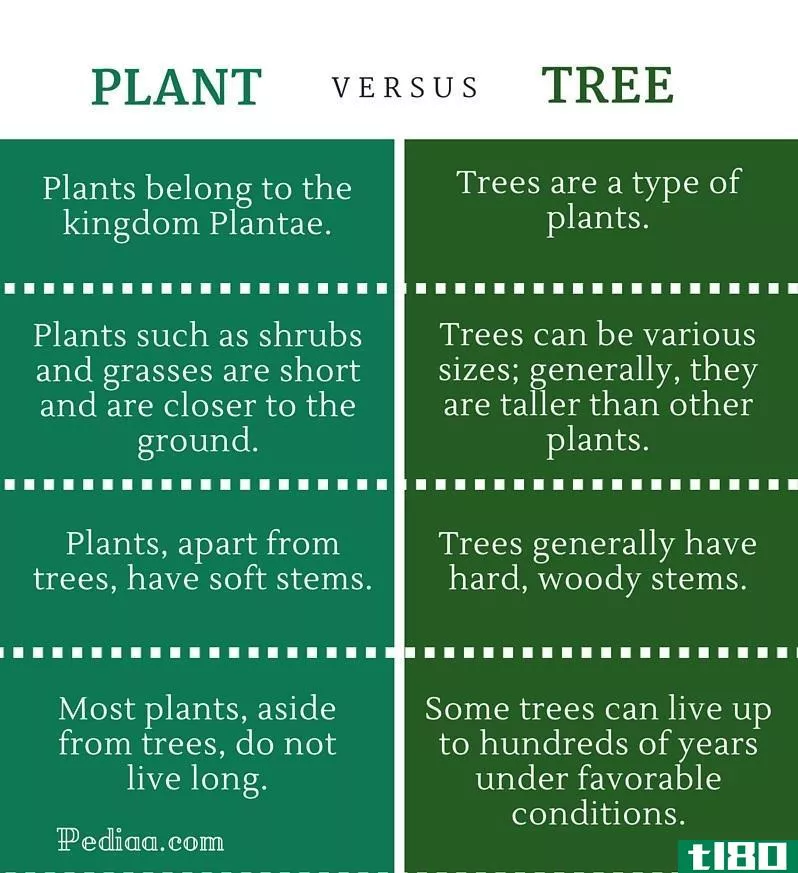 植物(plant)和树(tree)的区别