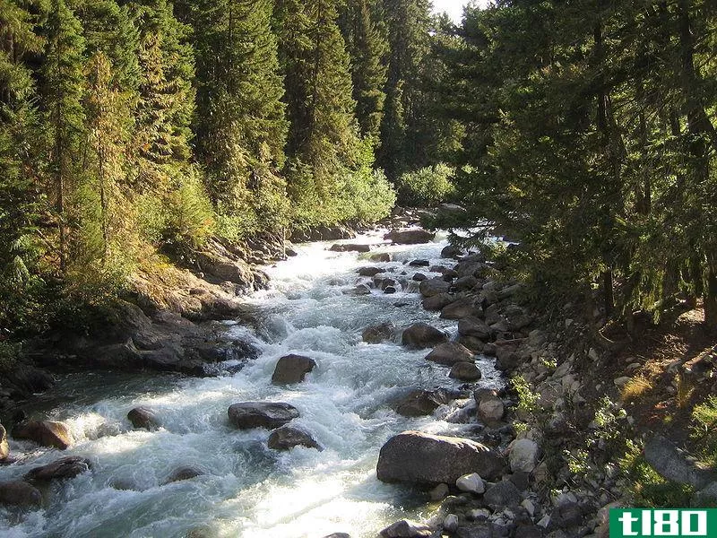 小溪(creek)和流动(stream)的区别