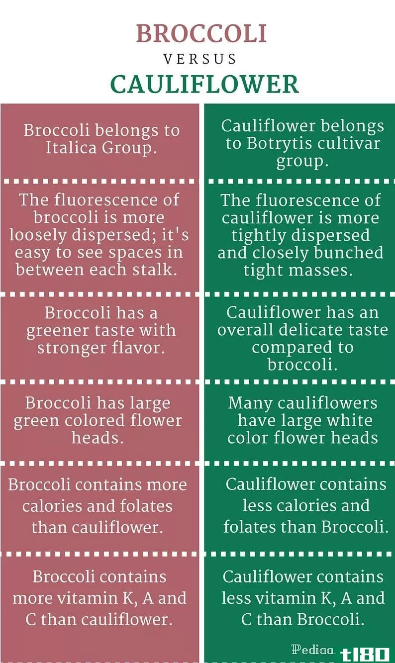 西兰花(broccoli)和花椰菜(cauliflower)的区别