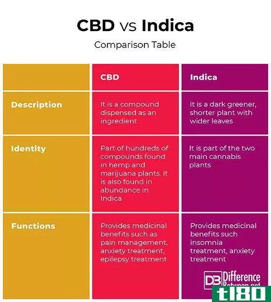 中央商务区(cbd)和印度(indica)的区别