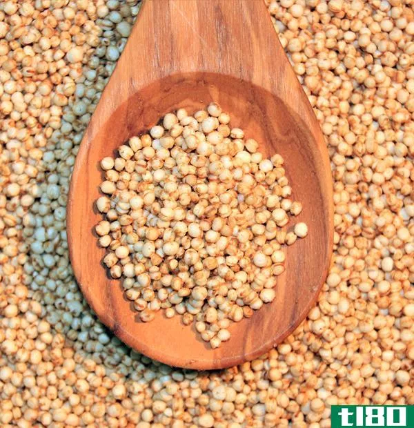 藜麦(quinoa)和粗麦粉(couscous)的区别