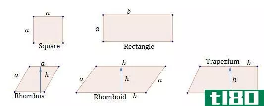 如何求四边形的面积(find the area of quadrilaterals)