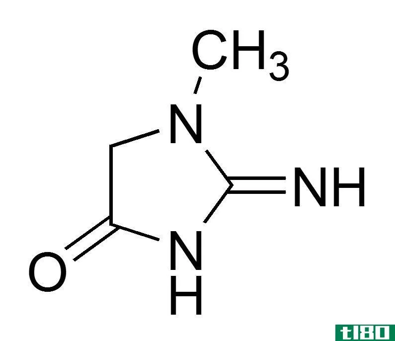 肌酸(creatine)和肌酐(creatinine)的区别
