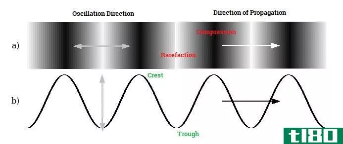 Difference Between Transverse and Longitudinal Waves 