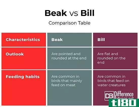 喙(beak)和账单(bill)的区别