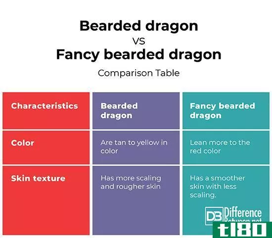 长须龙(bearded dragon)和花式须龙(fancy bearded dragon)的区别