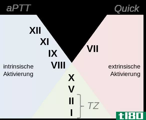 ptt公司(ptt)和aptt公司(aptt)的区别