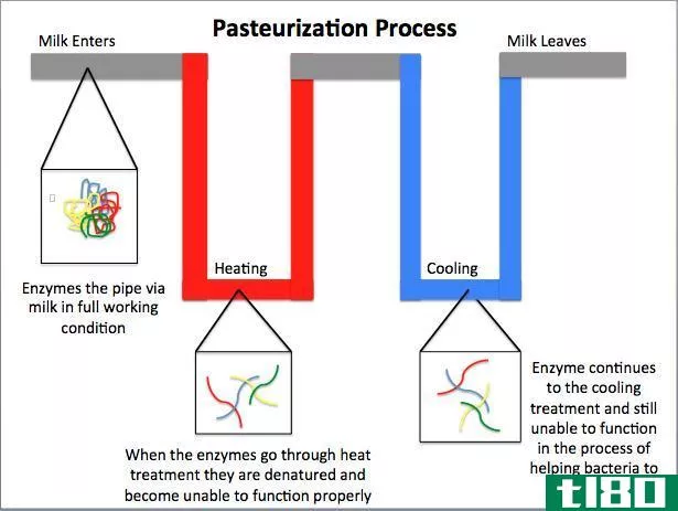 灭菌(sterilization)和巴氏杀菌(pasteurization)的区别
