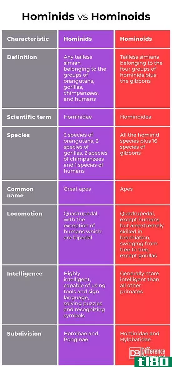 原始人(hominids)和原始人(hominoids)的区别