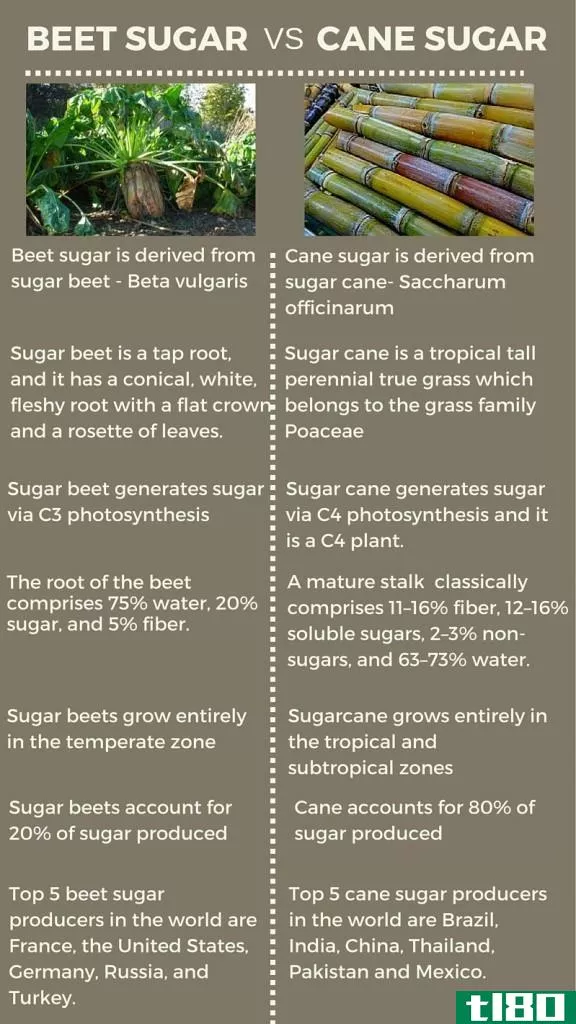 甜菜糖(beet sugar)和蔗糖(cane sugar)的区别